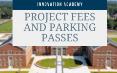 Project fees