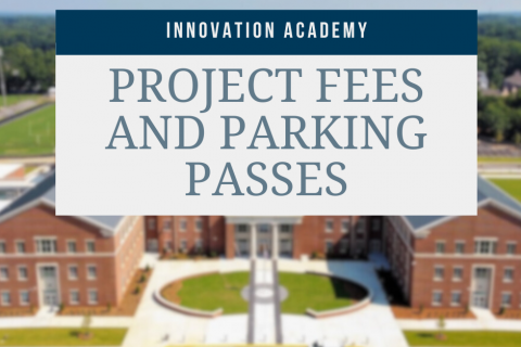 Project fees
