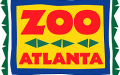 zoo atlanta