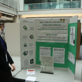 12384c9e-89d1-47ec-b928-83265ee5cfa2