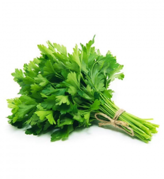 Screenshot 2026-03-10 081203