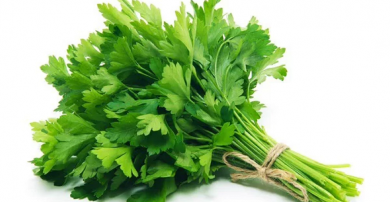 Screenshot 2026-03-10 081203