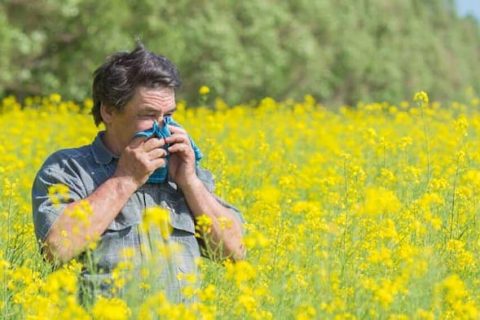 Man-in-field-of-flowers-1080x567