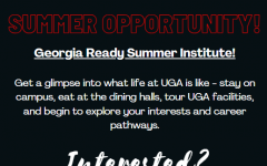 Summer Institute