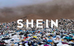 SHEIN Feature Image