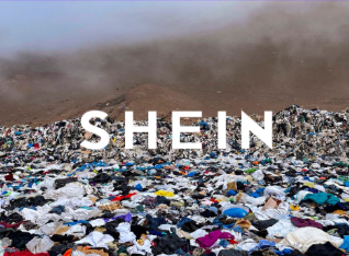 SHEIN Feature Image