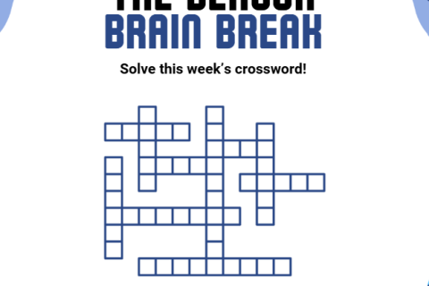 Brain Break